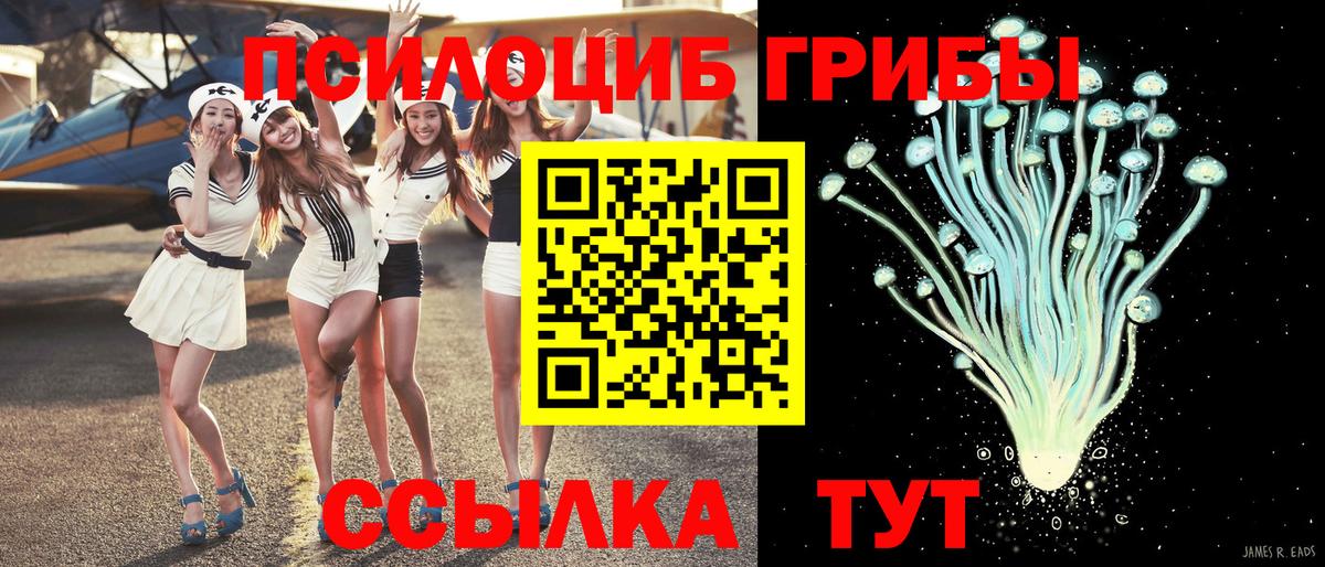 Псилоцибиновые грибы Psilocybe Скопин