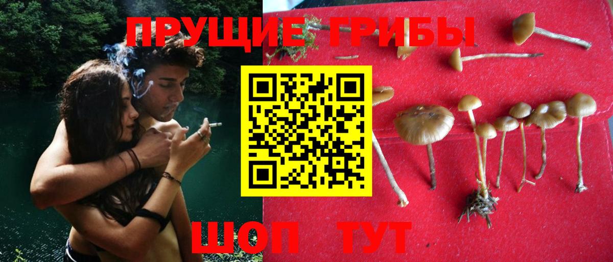 Скопин  купить закладку  Вход с VPN  Псилоцибиновые грибы мицелий 